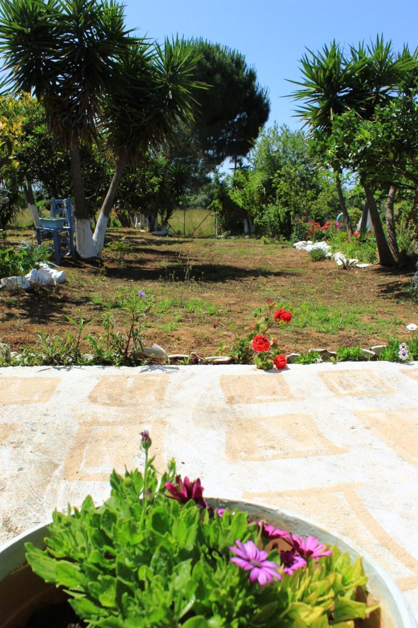 Olyna'S Apartment N.S Preveza Nea Sampsounta Exteriér fotografie